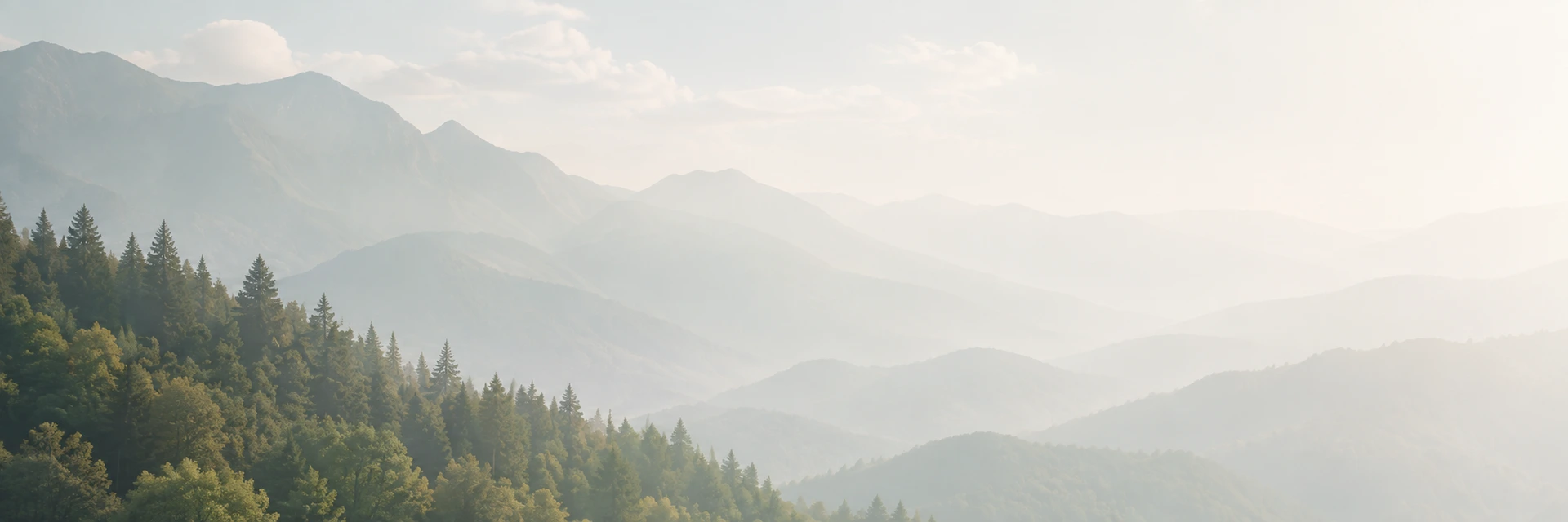 Nature et leadership humain
