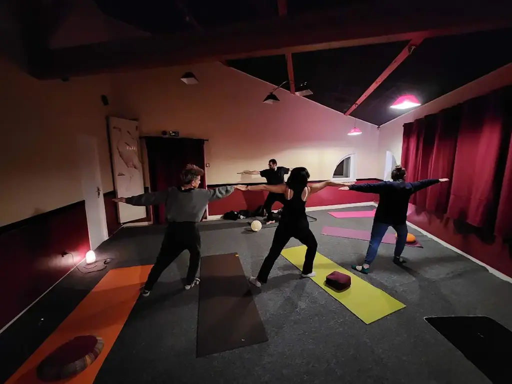 Inscription Cours de Yoga Saint Martin la Plaine, Mercredi à 18h30 (Abonnement 1 an)