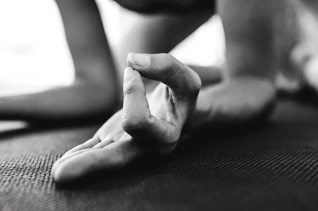 Inscription Cours de Yoga Visio, Lundi à 18h30 (la séance) 